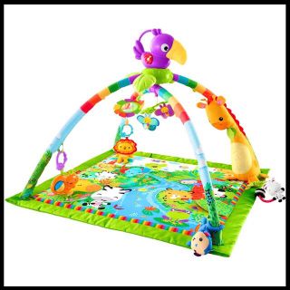 フィッシャープライス(Fisher-Price)のフィッシャープライス レインフォレスト・デラックスジム 知育玩具 ジャングル(ベビージム)