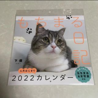 もちまる　ネコ　2022年4月始まりカレンダー　新品未開封(カレンダー)