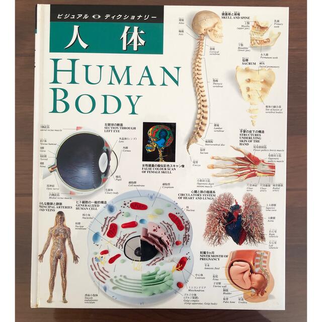 人体 HUMAN BODY 本 エンタメ/ホビーの本(健康/医学)の商品写真