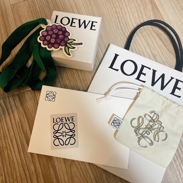 LOEWE - ロエベブローチ シルバーの+radiokameleon.ba