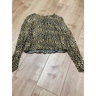 ザラ(ZARA)のZARA レオパード　トップス(カットソー(長袖/七分))