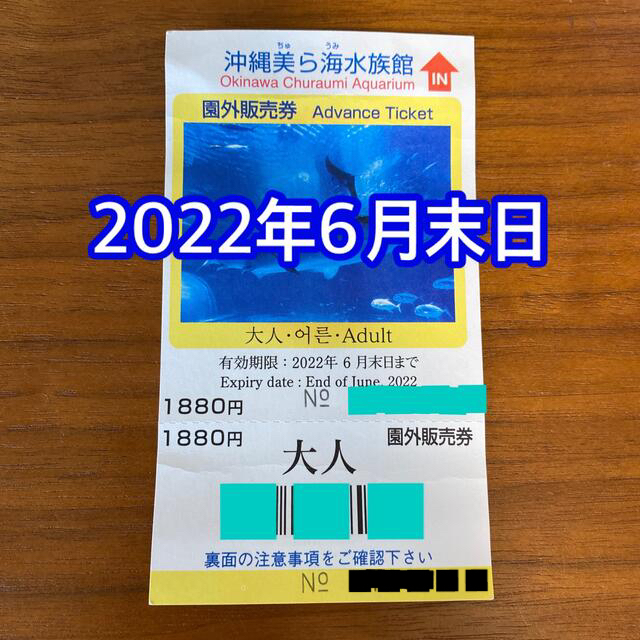 美ら海水族館　チケット　1枚 チケットの施設利用券(水族館)の商品写真