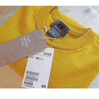 エイチアンドエム(H&M)の【新品】H&M PURE MERINO WOOL (ニット/セーター)