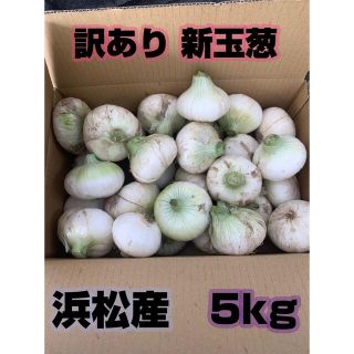 訳あり 新玉ねぎ ホワイトオニオン 静岡県浜松産 5kg(野菜)