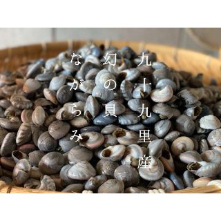 【本州限定】幻の貝！九十九里名産 釜茹でながらみ【１k】(魚介)