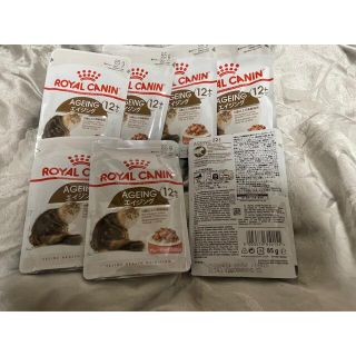 ロイヤルカナン(ROYAL CANIN)のみーさん専用　ROYAL CANIN AGEING エイジング 12＋(ペットフード)