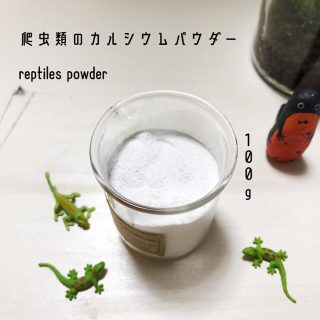 カルシウムパウダー その他のペット用品(爬虫類/両生類用品)の商品写真