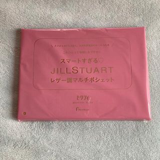 ジルスチュアート(JILLSTUART)のゼクシィ　付録(ポーチ)