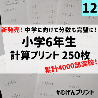 【大容量250枚】12.小学6年算数計算、公文、受験、補助教材、教育心理、不登校(語学/参考書)