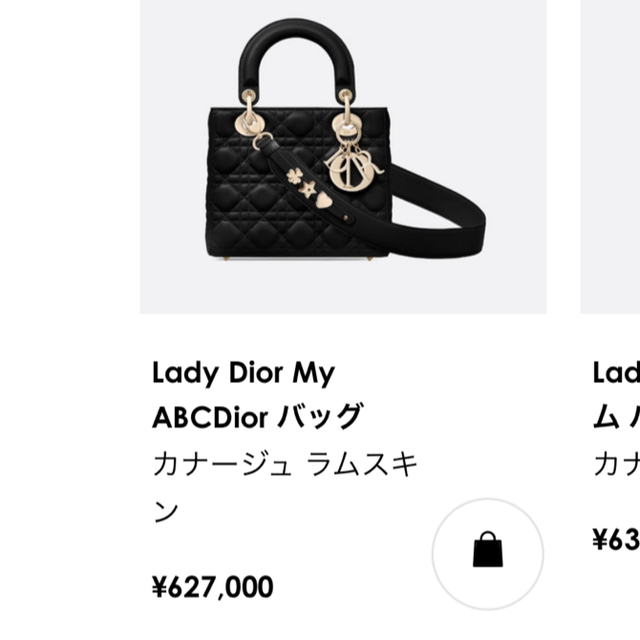 Christian Dior(クリスチャンディオール)のminoir様専用　レディディオール　♡  ホワイト レディースのバッグ(ハンドバッグ)の商品写真