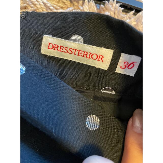 DRESSTERIOR(ドレステリア)のDRESSTERIOR スカート レディースのスカート(ロングスカート)の商品写真