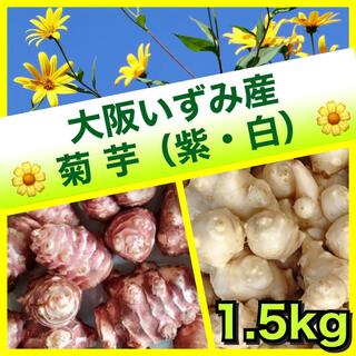 ★スーパーフード【菊芋（紫・白）】1.5kg〜新型コロナウイルス対策にも❣️(野菜)
