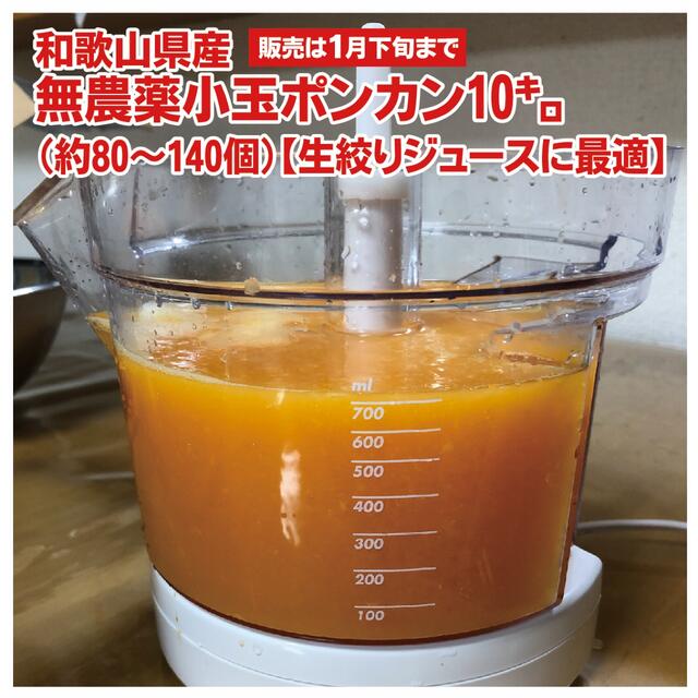 無農薬ポンカン　10㌔汚れあり。 「果汁100％ジュース」に最適！ 食品/飲料/酒の食品(フルーツ)の商品写真