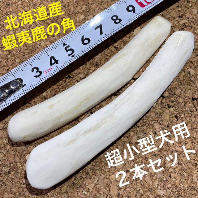 鹿の角　犬のおもちゃ　北海道産　　　　　　　　　　　　　　超小型犬用　2本セット その他のペット用品(犬)の商品写真