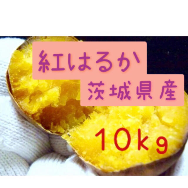 さつまいも　紅はるか　10kg    食品/飲料/酒の食品(野菜)の商品写真