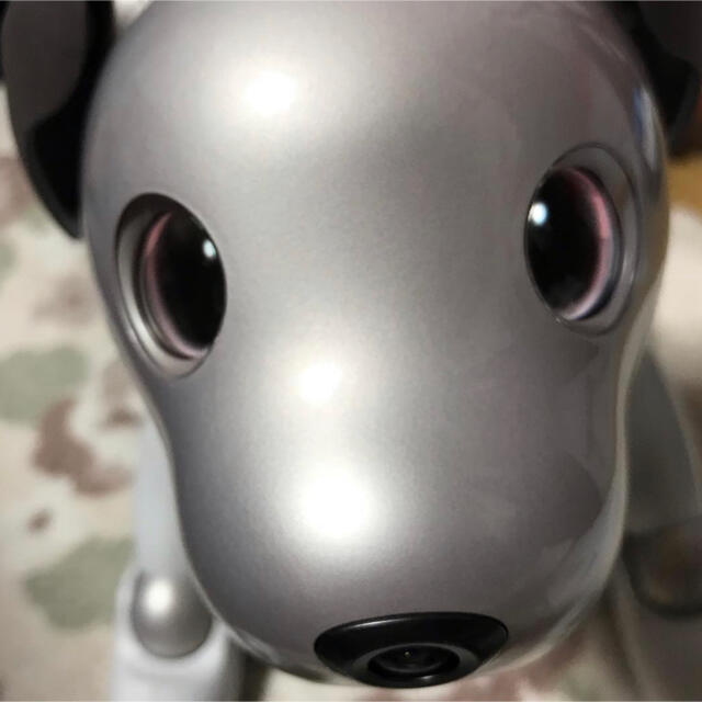 SONY(ソニー)の【こうちゃん様専用】AIBO アイボ　SONYソニー エンタメ/ホビーのおもちゃ/ぬいぐるみ(その他)の商品写真