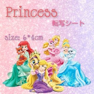 ディズニー(Disney)のディズニープリンセス(その他)