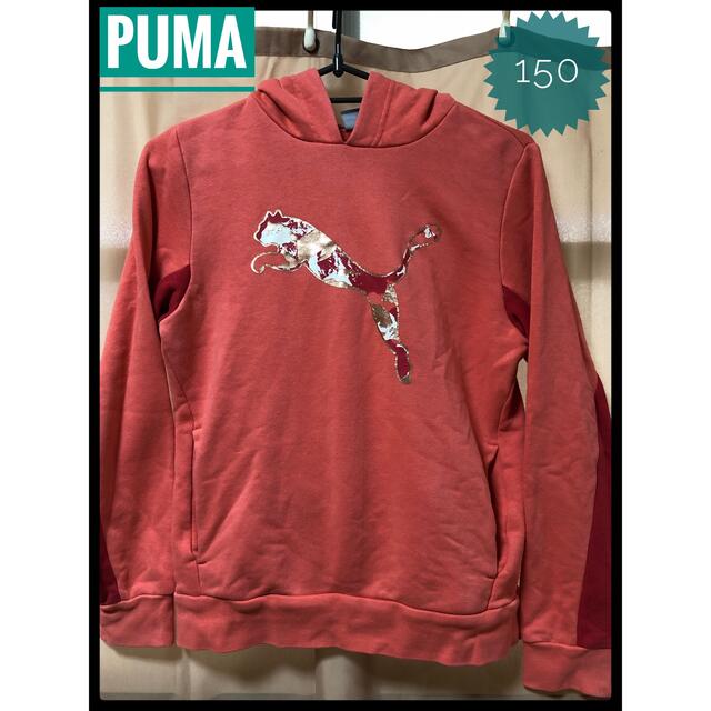 PUMA(プーマ)のPUMA プーマ　パーカー　 サイズ150 オレンジ　上着 キッズ/ベビー/マタニティのキッズ服男の子用(90cm~)(ジャケット/上着)の商品写真