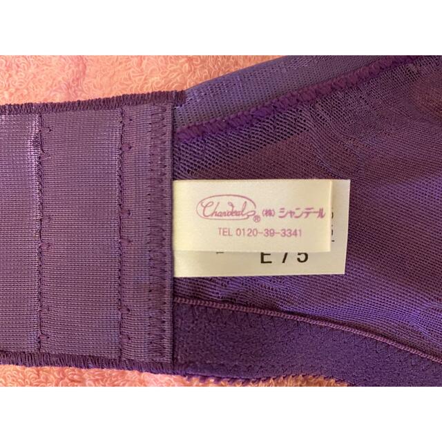 シャンデール　ブラジャーE75 パープル レディースの下着/アンダーウェア(ブラ)の商品写真