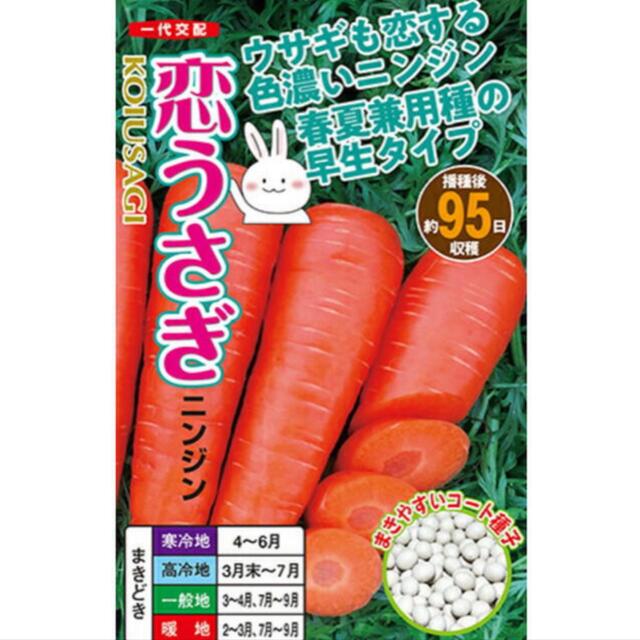 恋うさぎ人参の種  50粒  うさぎも恋する色濃い人参 食品/飲料/酒の食品(野菜)の商品写真