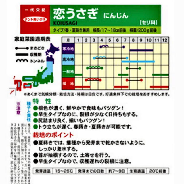 恋うさぎ人参の種 うさぎも恋する色濃い人参 50粒 食品/飲料/酒の食品(野菜)の商品写真