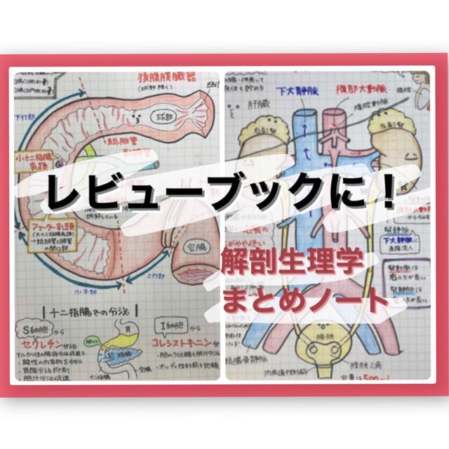 レビューブックに!】看護学生 国試対策 解剖生理学まとめノート - 本 レビューブックに!】看護学生 国試対策 解剖生理学まとめノート - 本