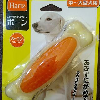 ★Hartz★デンタルボーン★大～中型犬用★(犬)