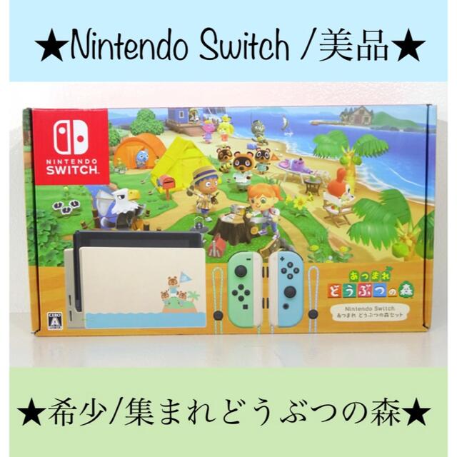 【美品/希少】Nintendo  Switchあつまれ どうぶつの森ニンテンドースイッチグレー