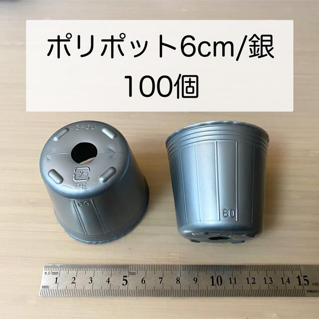 ポリポット6cm/銀　100個 ハンドメイドのフラワー/ガーデン(その他)の商品写真