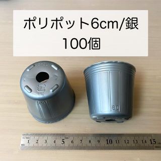 ポリポット6cm/銀　100個(その他)