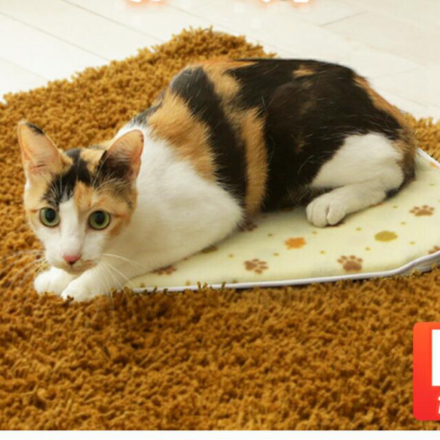 アイリスオーヤマ　ホットカーペット　Mサイズ その他のペット用品(猫)の商品写真