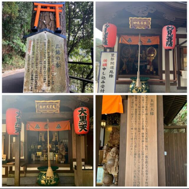 南蔵院 開運龍御守 御利益 縁起物 金運 開運 財運 学業