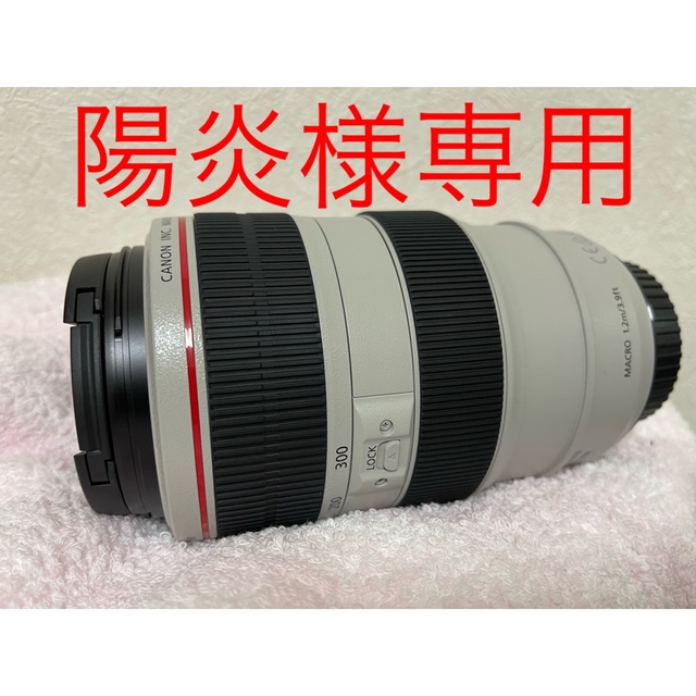 【美品】Canon EF-70-300mm/4-5.6 L IS USM