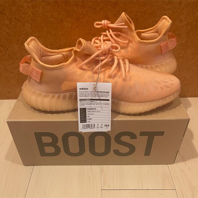 adidas(アディダス)のYEEZY 350 V2 MONO CLAY メンズの靴/シューズ(スニーカー)の商品写真