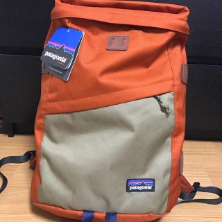 パタゴニア(patagonia)の☆Patagonia パタゴニア リュック22L ☆(登山用品)