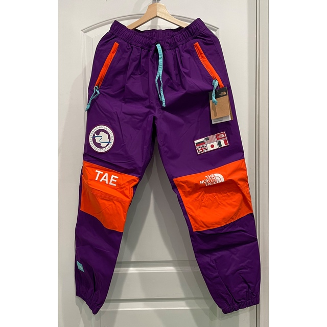 The north face Trans antarctica pantsその他