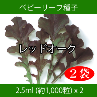 ベビーリーフ種子 B-02 レッドオーク 2.5ml 約1,000粒 x 2袋(野菜)