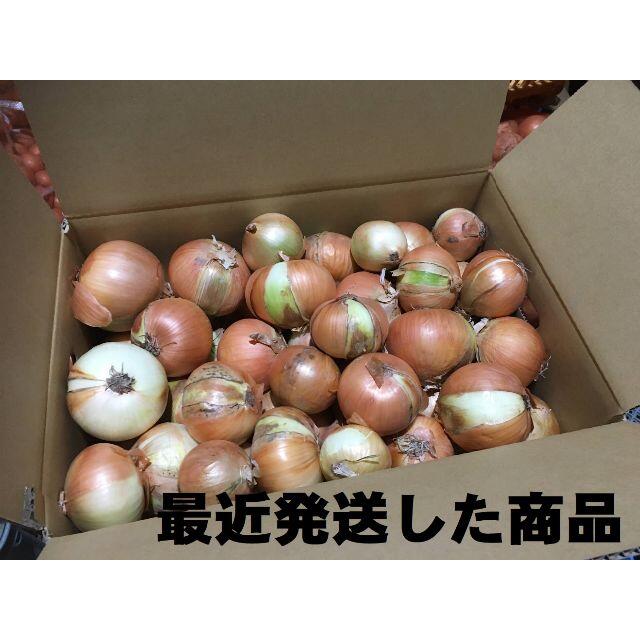 北海道産タマネギ　Ｂ品　20kg　農家直送 食品/飲料/酒の食品(野菜)の商品写真