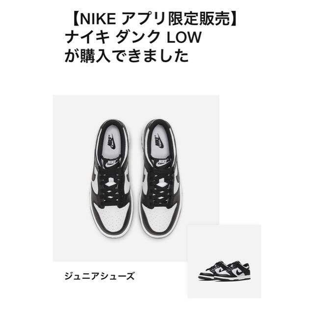 NIKE(ナイキ)のNike Dunk Low Retro "White/Black" レディースの靴/シューズ(スニーカー)の商品写真