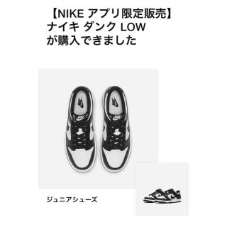 ナイキ(NIKE)のNike Dunk Low Retro "White/Black"(スニーカー)