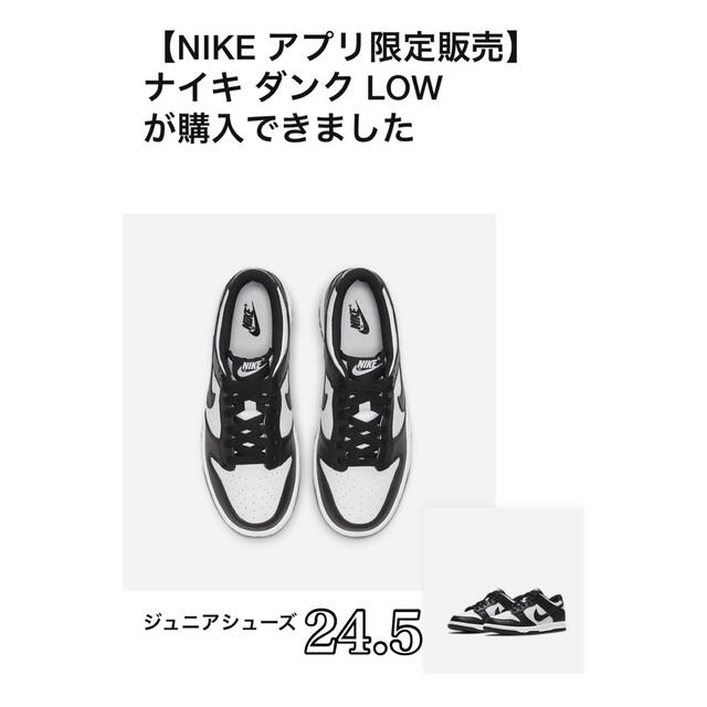 Nike GS Dunk Low Retro White/Black