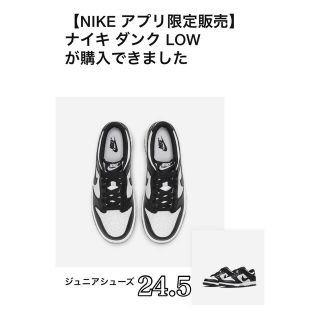 ナイキ(NIKE)のNike GS Dunk Low Retro White/Black(スニーカー)