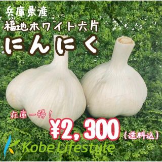 在庫一掃！値下げ⭐︎【兵庫県産】福地ホワイト六片種にんにくLLサイズ10kg(野菜)