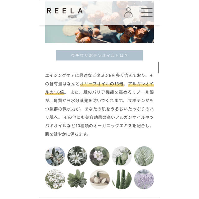 REELA Organic ルミナスモイスチャーローション&セラムセット 4