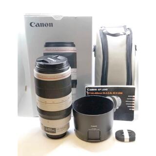 Canon - Canon  EF100-400mm F4.5-5.6L IS II USM 