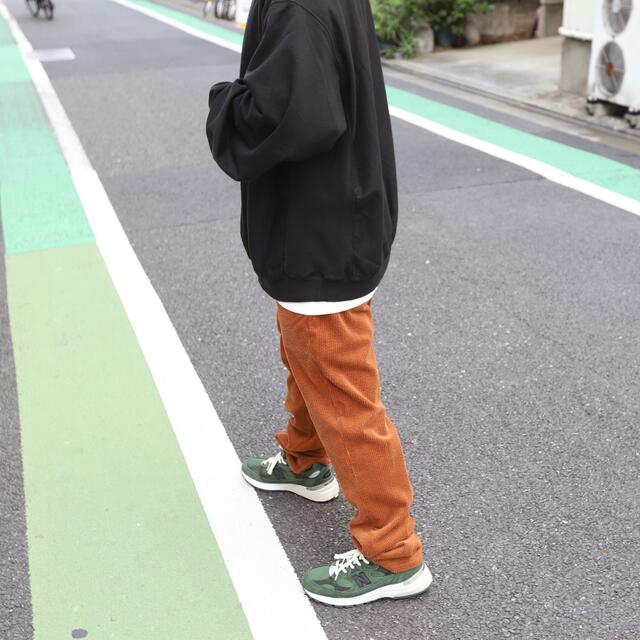 Dickies MIN-NANO FGZ STANDARD PANTS