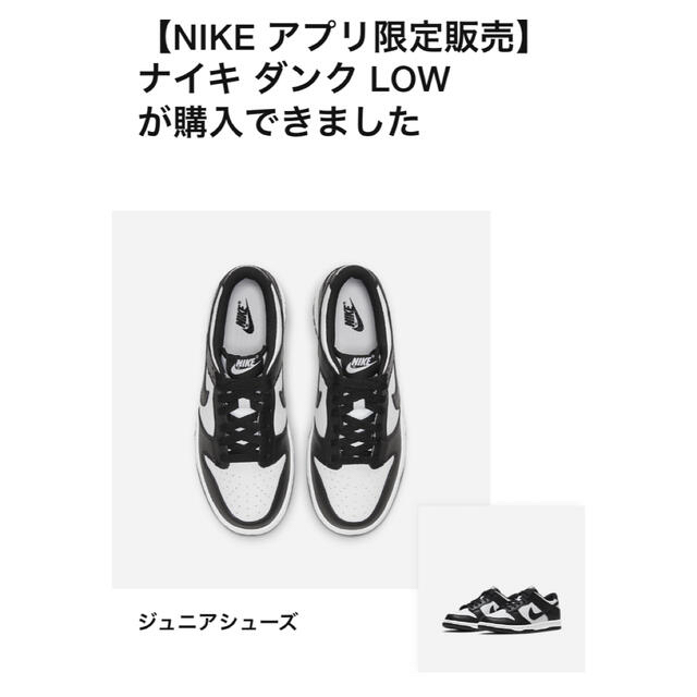 NIKE(ナイキ)の Nike Dunk Low Retro GS "White/Black"  レディースの靴/シューズ(スニーカー)の商品写真