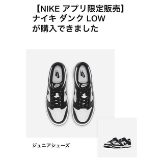 ナイキ(NIKE)の Nike Dunk Low Retro GS "White/Black" (スニーカー)