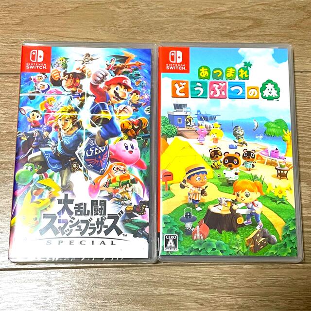 Nintendo Switch - Nintendo Switch あつまれ どうぶつの森 Nintendo Switch - Nintendo Switch あつまれ どうぶつの森