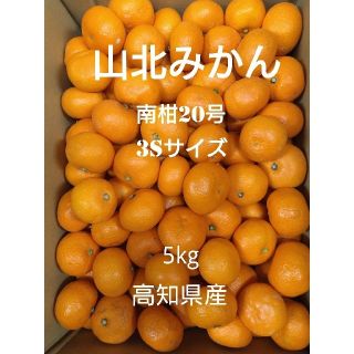 山北みかん 南柑20号 3Sサイズ 5kg 高知県産(フルーツ)